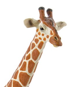 Girafe réticulée