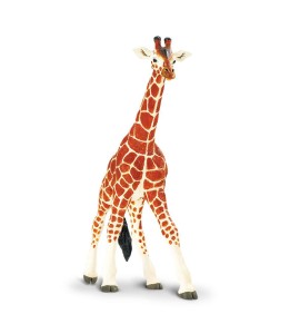 Girafe réticulée