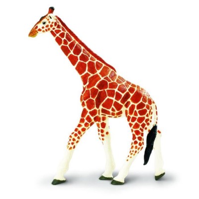 Girafe réticulée