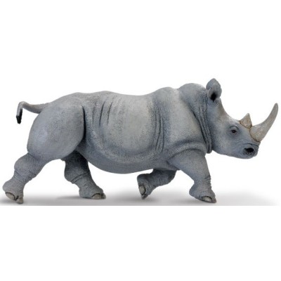 Rhinocéros blanc