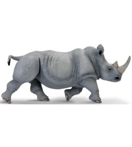 Rhinocéros blanc