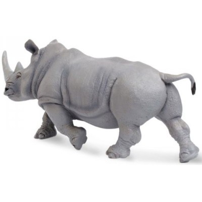 Rhinocéros blanc