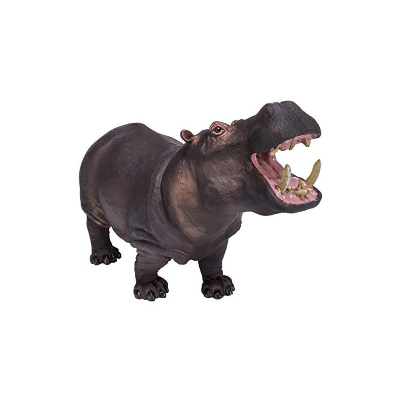 Hippopotame