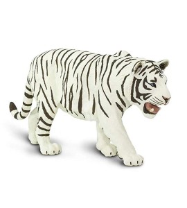 Tigre blanc de Sibérie