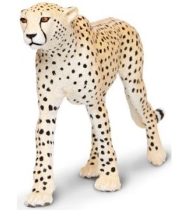 Guépard