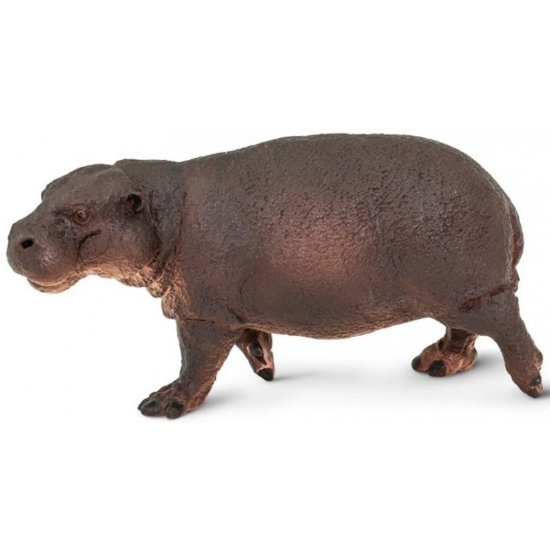 Hippopotame pygmée ( nain )
