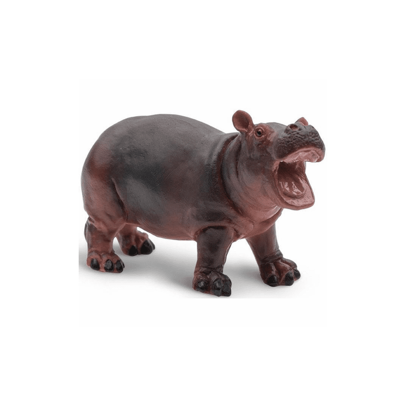 Hippopotame bébé