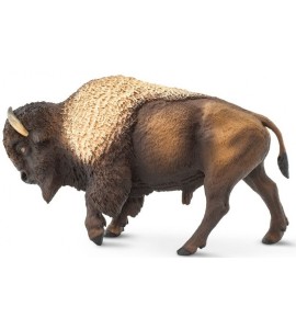 Bison