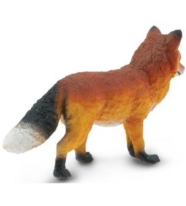 renard