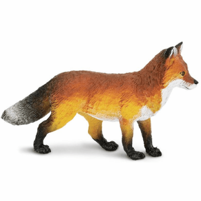 renard