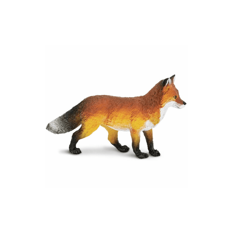 renard