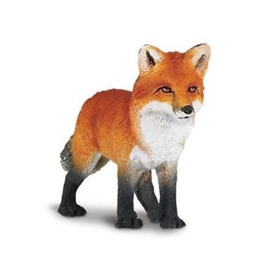 renard