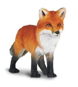 renard