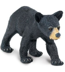 Ours noir bébé