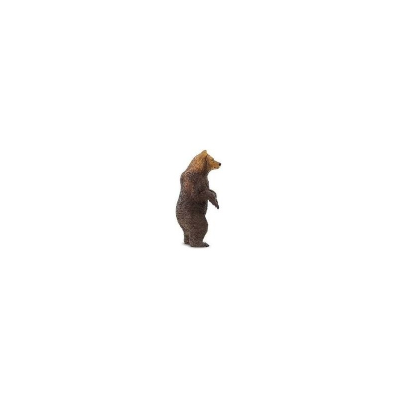 Poster Un Grizzly debout dans une zone boisée 80x120 cm - Tirage photo sur  Poster
