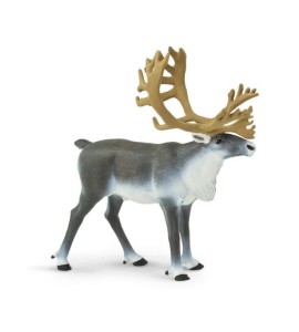 Caribou