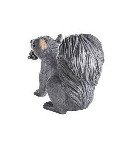 Ecureuil gris
