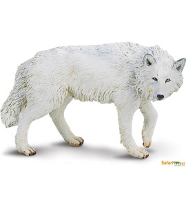 Loup blanc