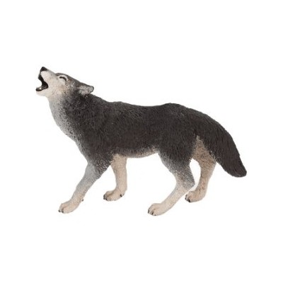 Loup gris