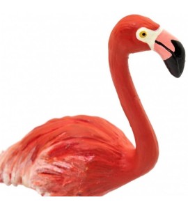 Flamant rose