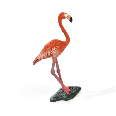 Flamant rose