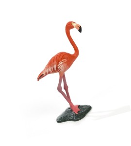 Flamant rose