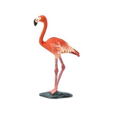 Flamant rose