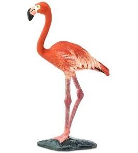 Flamant rose