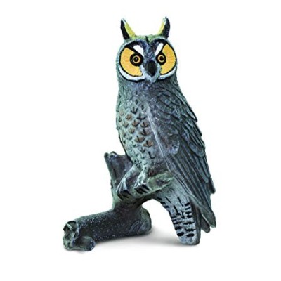 Hibou à longues oreilles