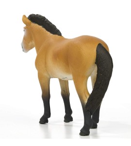 Cheval de Przewalski