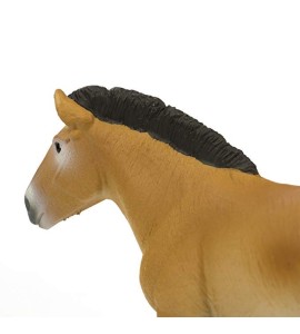 Cheval de Przewalski