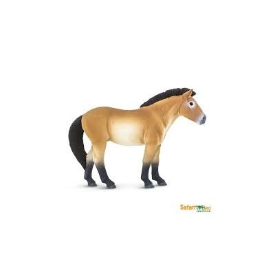 Cheval de Przewalski