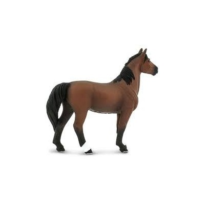 Cheval Mongan Stallion