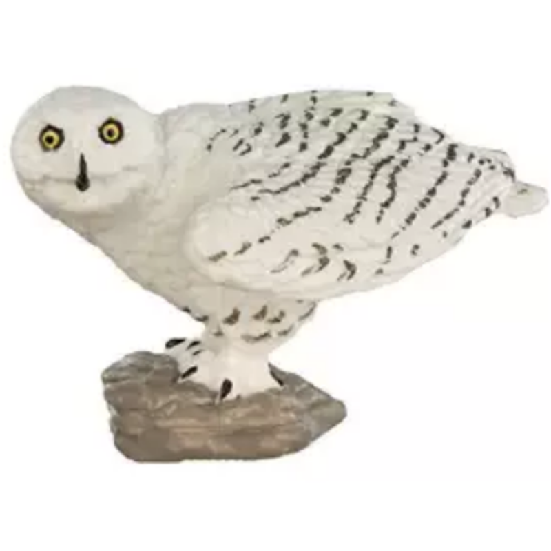 Hibou des neiges