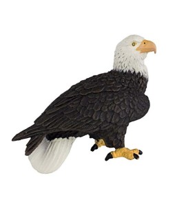 Aigle impérial