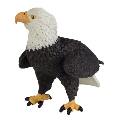 Aigle impérial