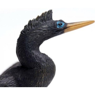 Anhinga