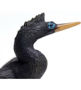 Anhinga