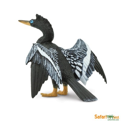 Anhinga