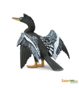 Anhinga