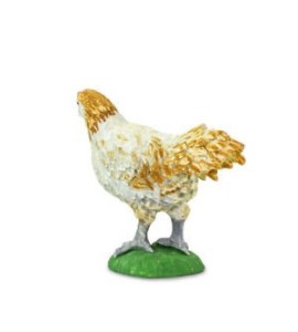 Poulet Ameraucana