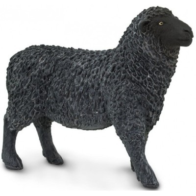 Mouton noir
