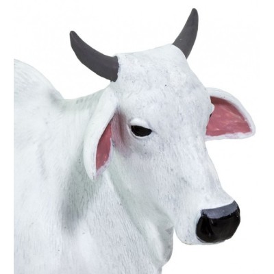 Vache Ongole