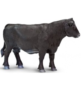 Vache Angus