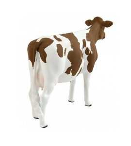 Vache de race Ayrshire