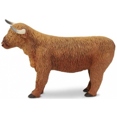 Vache Highland Cattle