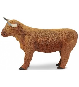 Vache Highland Cattle