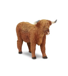 Vache Highland Cattle