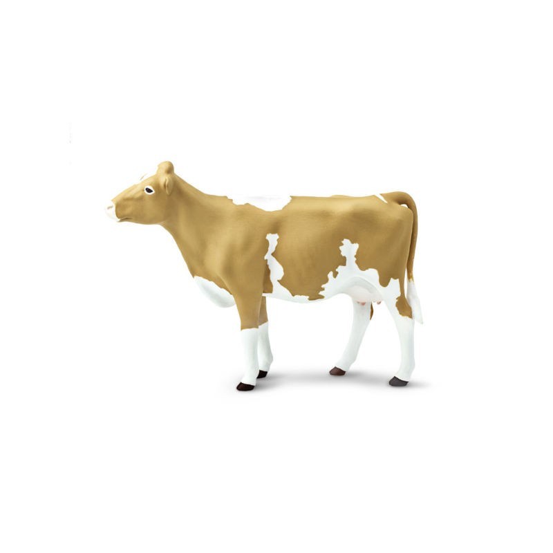 Vache de  Guernsey