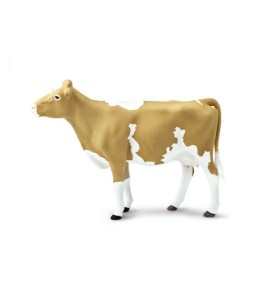 Vache de  Guernsey